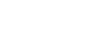 logo-northern-express