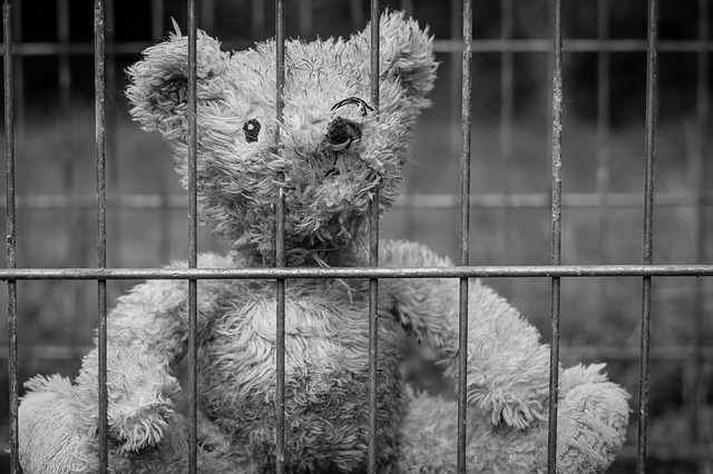 Black and white photo of a teddy bear on the other side of cage bars from the viewer